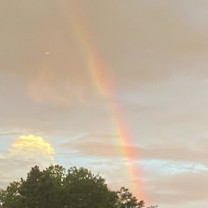 Meet your Posher, Tlalli